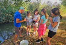 קרדיט צילום: רונית שגיב, רשות ניקוז ונחלים כינרת