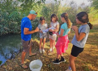 חוזרים לשגרת לימודי שטח בצפון קרדיט צילום: רונית שגיב, רשות ניקוז ונחלים כינרת