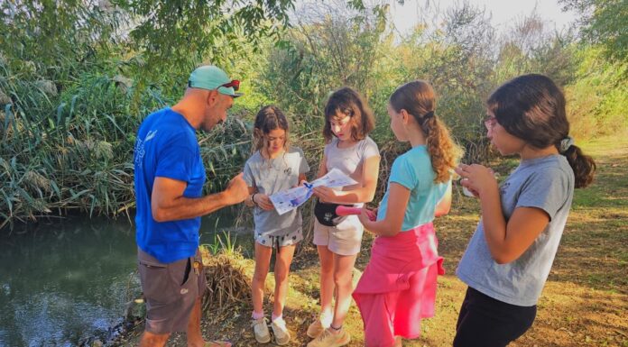 קרדיט צילום: רונית שגיב, רשות ניקוז ונחלים כינרת