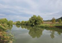 חוויית חנוכה לכל המשפחה בנהר הירדן