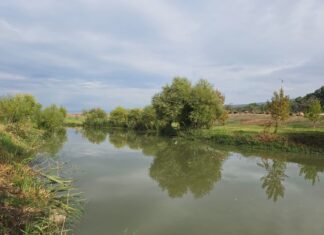 חוויית חנוכה לכל המשפחה בנהר הירדן