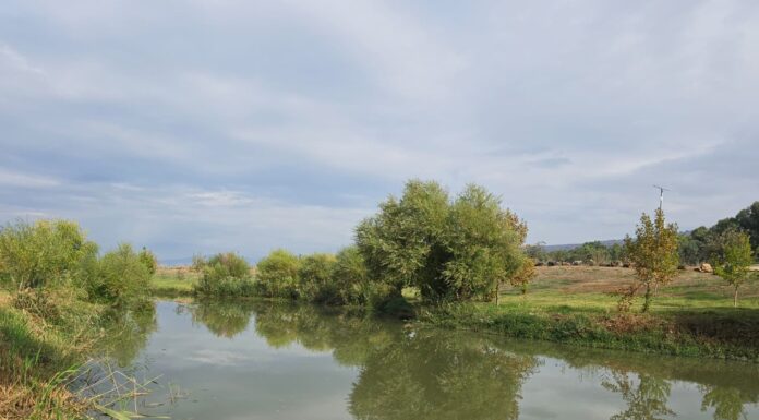 חוויית חנוכה לכל המשפחה בנהר הירדן
