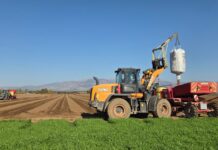 החברה לפיתוח הגליל: למרות מיעוט גשמים בעמק החולה- החלה זריעת 3,500 דונם תפו"א לתעשיית הצ'יפס היבול צפוי לעמוד על כ-17,500 טון