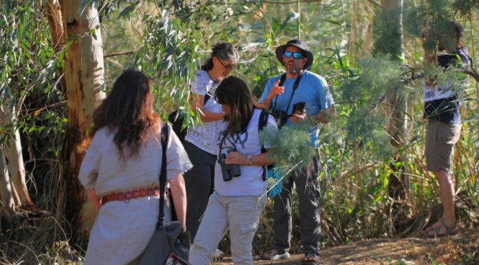 רשות ניקוז ונחלים כינרת פותחת מחזור חדש של 'אקולוגיה קהילתית' אקולוגיה קהילתית - קרדיט צילום: רוני קיסרי