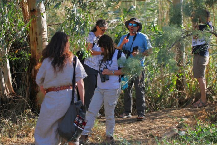 אקולוגיה קהילתית - קרדיט צילום: רוני קיסרי אקולוגיה קהילתית - קרדיט צילום: רוני קיסרי
