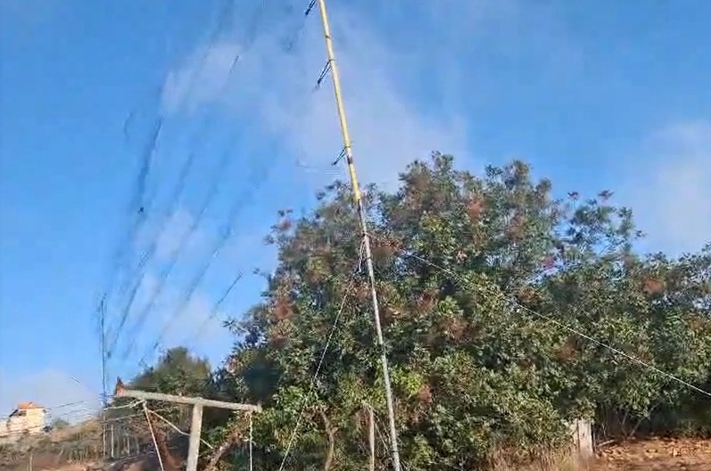 רשות הטבע והגנים: אלפי ציפורי שיר ניצודות ברשתות: חוליות ציידים נתפסו בין חלחול לחברון